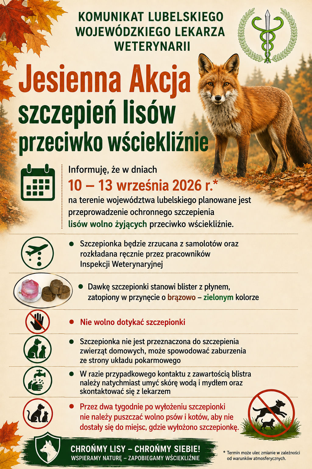 Szczepienie lis&oacute;w jesień 2026
